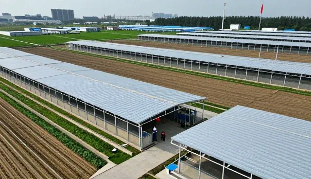 深圳市七彩虹清洁服务有限公司展示家政服务实际应用效果